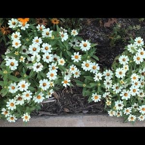 Meet your Posher, Claudia